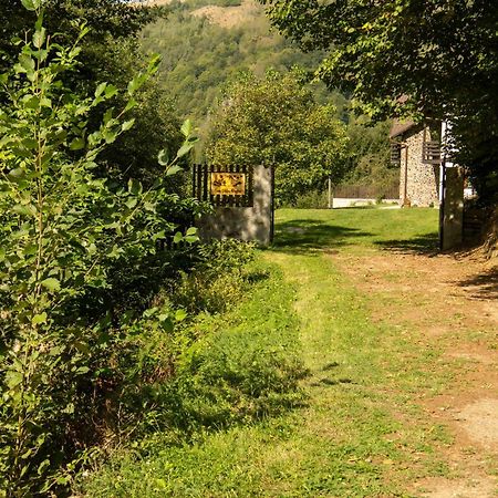 فيلا Casa Valea Prejbei Rau Sadului المظهر الخارجي الصورة