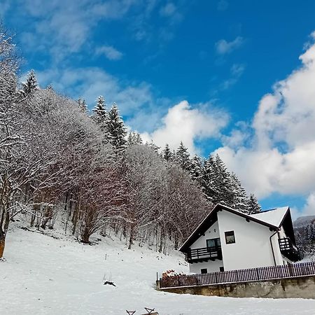 فيلا Casa Valea Prejbei Rau Sadului المظهر الخارجي الصورة