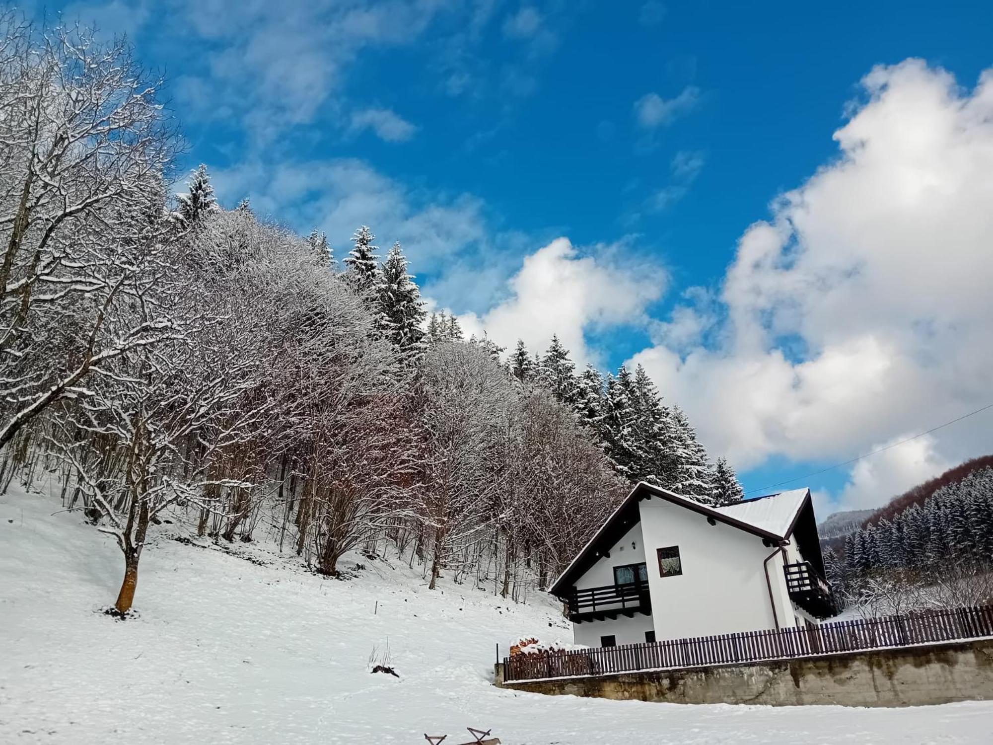 فيلا Casa Valea Prejbei Rau Sadului المظهر الخارجي الصورة